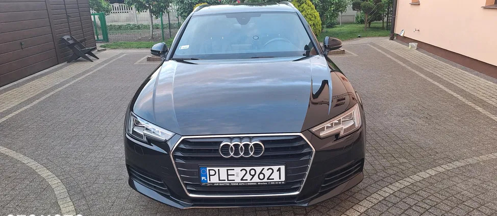 audi a4 Audi A4 cena 77800 przebieg: 222000, rok produkcji 2016 z Rydzyna